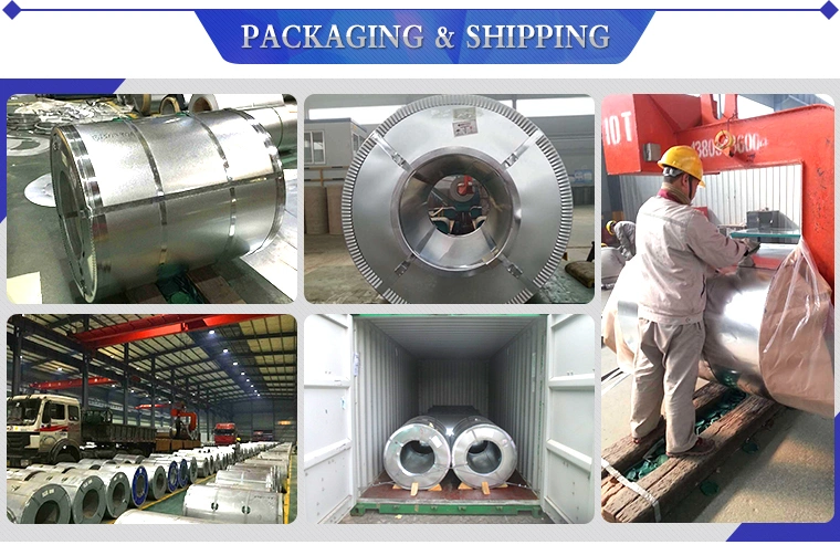 Prime Prepainted Aluzinc Galvalume Galvanized Steel Coil